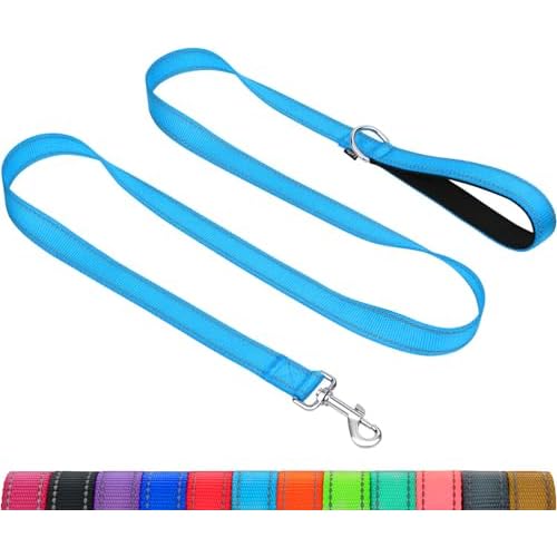 Taglory Dog Leash for Medium Large Dogs, Double-Sided Reflective for Night Walking, Neoprene Padded Handle, 1 inch by 4 ft, Heavy Duty for Medium Large Breeds 20-150 lbs, Sky Blue