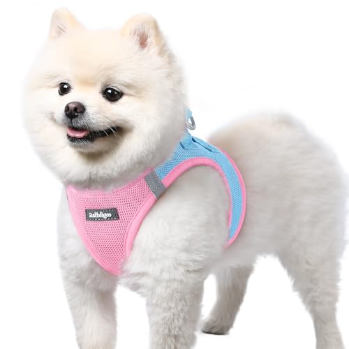 rabbitgoo Hundegeschirr kleine Hunde, Step-in Soft Mesh Hundegeschirr mit Sicherheitsverschluss, atmungsaktives und reflektierendes Welpengeschirr für kleine Hunde