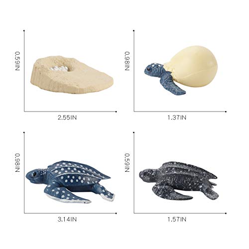 Fantarea 4 Pcs Ocean Sea Marine Animal Model Figures Life Cycle Turtle Leatherback Figure Ornament Cake Toppers Party Favors Supplies Cognitive Toy For Boys Girls Kid 5 6 7 8 Years Old #TOP4