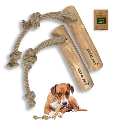 BETO PET xgiY R[q[Ebh  [vt^Cv     Y 100%i` VR  R[q[̖ JtFCt[ f^PA CC11i (2{, L)