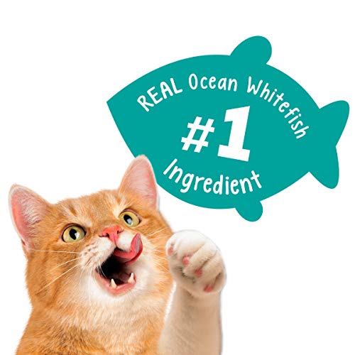 Purina Friskies Made In Usa Facilities Cat Treats, Party Mix Meow Luau Crunch - (6) 6 Oz. Pouches #TOP3