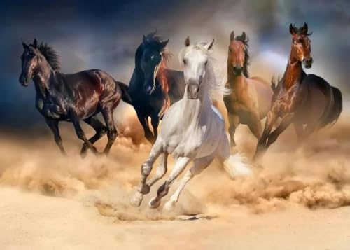 Affiche Cheval au Galop Peinture Toile Animaux Sauvages 60x90