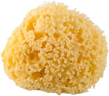 Rotho Babydesign Mediterranean Sponge, Natural Product, Diameter: 9-10 cm, Yellow