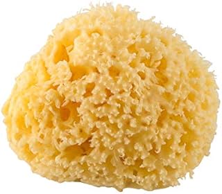 Rotho Babydesign Mediterranean Sponge, Natural Product, Diameter: 9-10 cm, Yellow