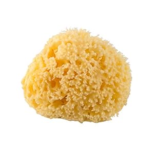 Rotho Babydesign Mittelmeerschwamm Gelb 9-10cm