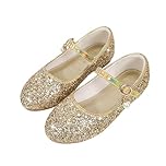Ballet Pumps Girls Princess Shoes Girls Sparkly Shoe Toddler Kids Glitter Low Heels Mary Jane Dress up Sandals Sequin Party Wedding Birthday Prom Cosplay Dance Shoe Jazz Shoes Gold 2.5