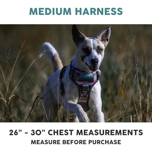 Embark Adventure Dog Harness, Reflective Trim No Pull Harness for Medium Sized Dog - Military Grade Nylon, Front Clip with Gel Lined Handle. Soft & Padded Puppy