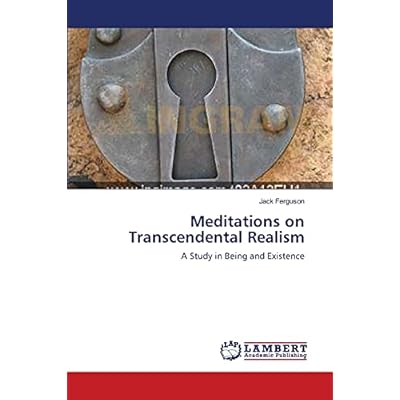 Meditations on Transcendental Realism