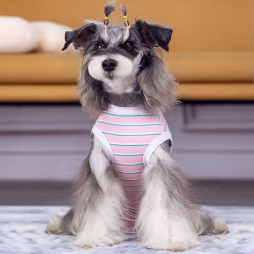 Image of Dog Surgical Recovery Suit, Spay Recovery Suit for Dogs Cats, Post Surgery Dog Onesie for Male Female, Soft Comfortable & Breathable (Pink Stripe-XL)