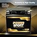 ExpertPower YTX20L-BS 12 Volt Battery, 20Ah SLA AGM Motorcycle Battery for Honda GL1800 Gold Wing 01-09, 330 CCA, Sealed Lead Acid, Maintenance-Free, 12-Month Coverage