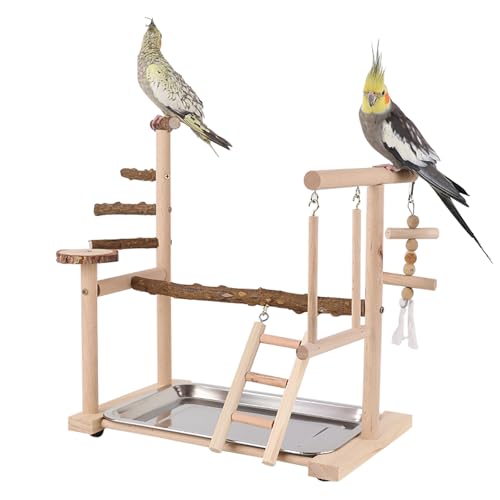 Image of RoseFlower Parrot Playstand, Bird Stand for Indoor, Wooden Bird Playground with Swing, Ladder, Perches and Removable Tray, L*W*H 14x9x15 Inch