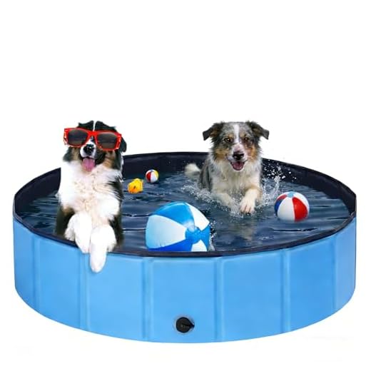 Faltbarer Pool für Hunde in verschiedenen Größen