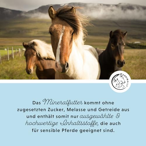 Mineralfutter Pferde organisch getreidefrei 3 kg - getreidefreies Ergänzungs Pferdefutter mit Vitaminen, Mineralstoffen und Spurenelementen, wie Zink, Selen, Omega 3 und Jod (3 kg Eimer)
