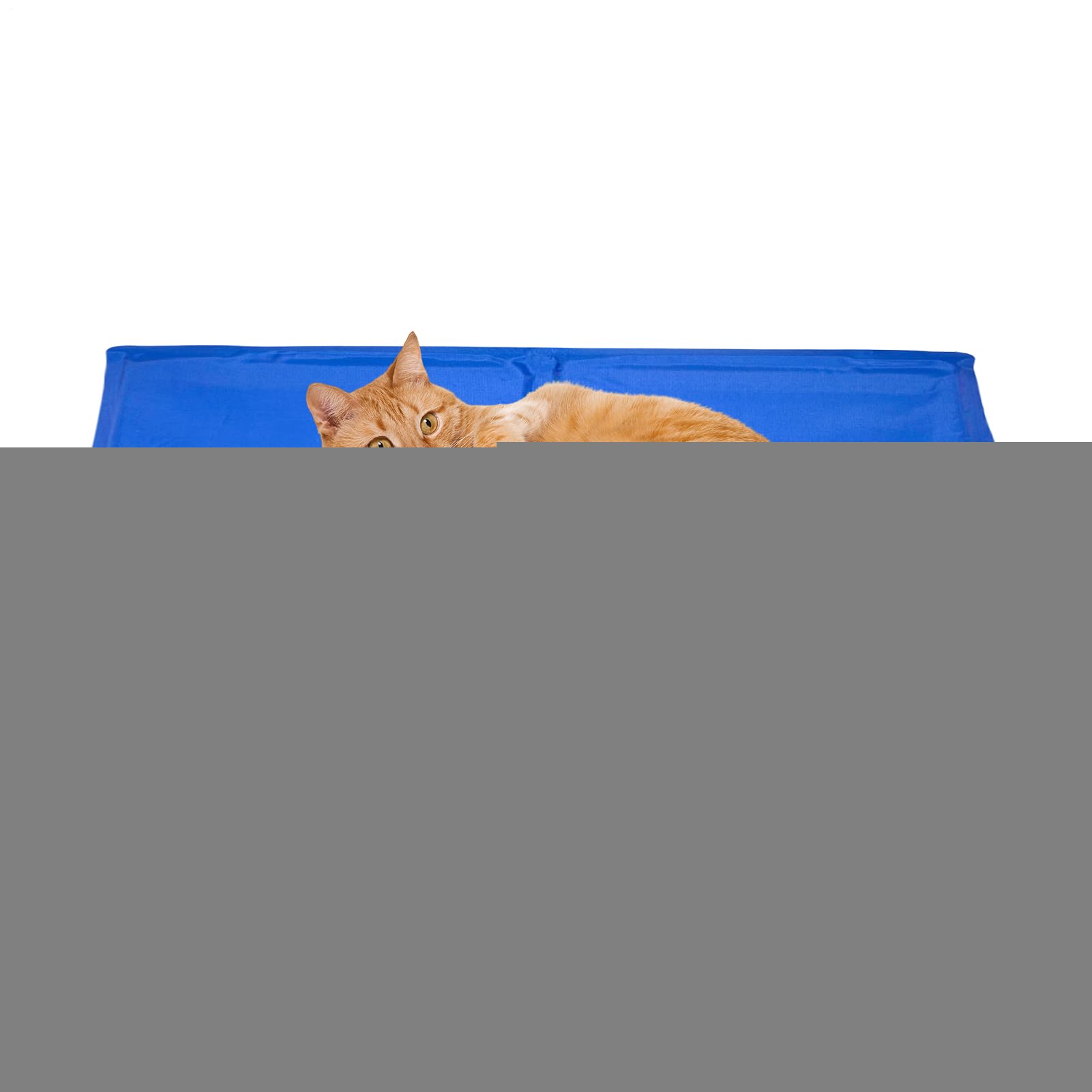 Tapis de refroidissement pour chiens chat portable relaxation été lit banquette auto