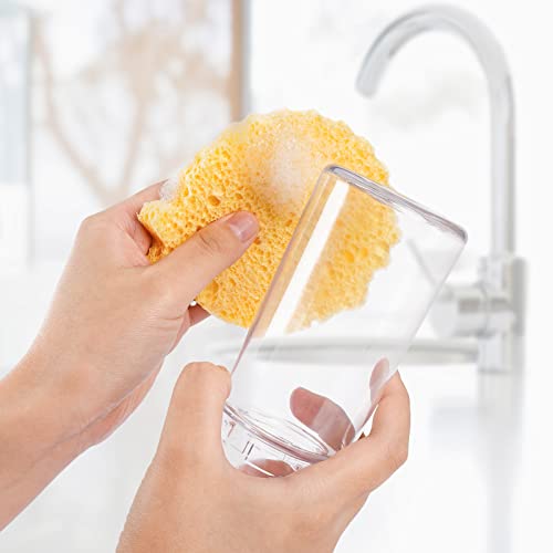 Dispongeables® Biodisposable Expanding Kitchen Sponges - Pack Of 24 (6-Month Supply) | Throw Away Bacteria Before It Grows | Eco-Friendly | Compostable Packaging | Plant Based | Plastic Free #TOP5