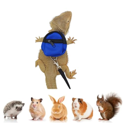 Image of Bearded Dragons Harness Leashes Set Cute Backpack Back to School Design for Small Pets Reptile Lizard Crested Gecko Chameleon Rat Hamster Squrriel Ferret Photo Shoot (Blue)