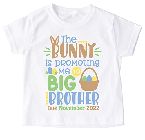 Big Brother Easter Shirt Personalized Easter Shirt...