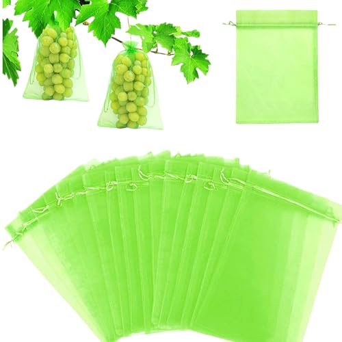 Lot de 50 sacs de protection pour fruits, filet de protection des fruits verts, filet de protection contre les insectes pour légumes, cage F-ruit, cadeau en organza vert, B-ag en organza, P-rotection
