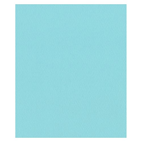エスケント 色画用紙 スターウェーブ 四切 スカイブルー 50枚 5504828