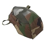 BIUDECO Vollgesichtsschutzmaske für Outdoor Fencing Atmungsaktive für Kampfsporttraining und...