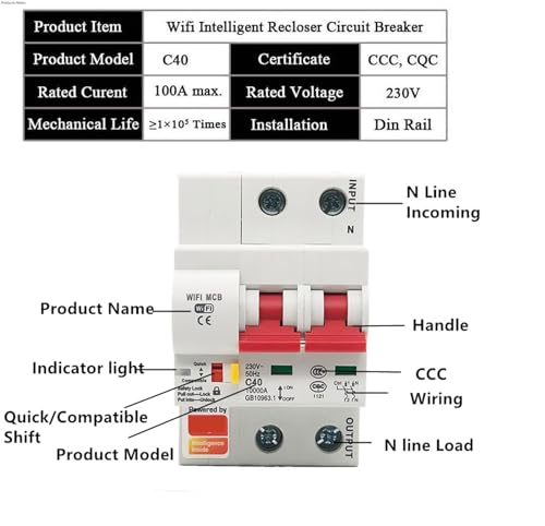 Disjoncteur WiFi Smart Life 2P 25A pour tableau électrique