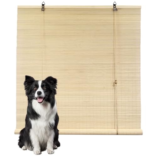 �V�Â����� 45 x 170 cm �ډB���Ռ��ՔM���������悯�h�~���ʂ��|����������O���_���|�J�[�e���o�u�[�J�e�����ƊO�Q�����������p�a�m�ɍ���, C