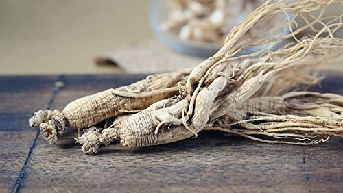 Antler Farms - 100% Pure Organic Panax Ginseng Extract, 180 Capsules, 500Mg - Extracted From Slow Grown Aged Ginseng Root, 10% Min. Ginsenosides, Boost Mental Performance, Energy And Immunity #TOP3