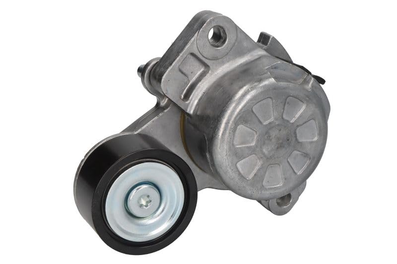 INA 534 0865 10 Tensor de correa poli V