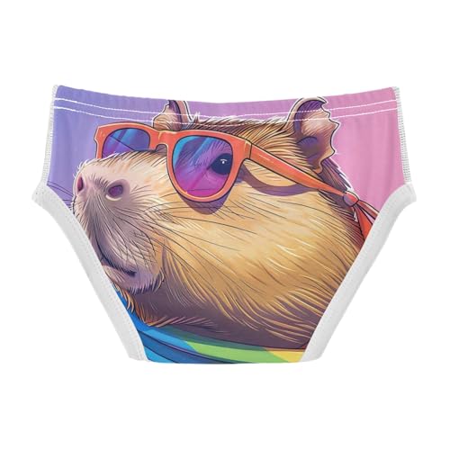 ODAWA Capybara Rainbow Funny Tag Free Toddler Cotton Underwear, 2T Underwear2