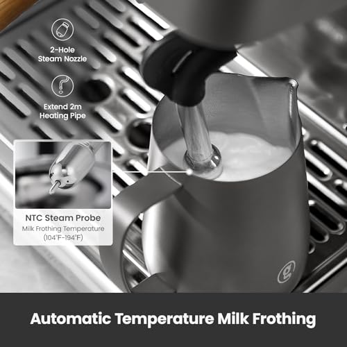 Breville Dual Boiler espresso machine