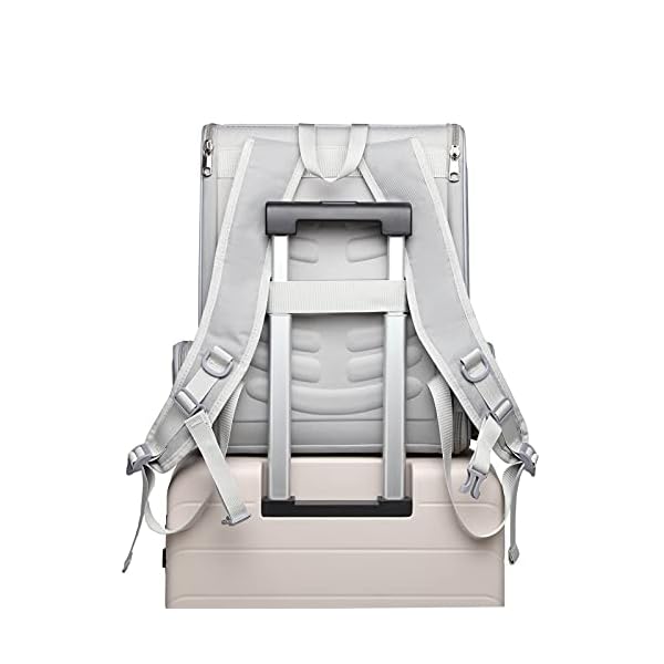 Texsens Pet Backpack Carrier for Small Cats Dogs | Ventilated Design, Safety Straps, Buckle Support, Collapsible | Designed for Travel, Hiking & Outdoor Use (Light Gray) Texsens Pet Backpack Carrier for Small Cats Dogs | Ventilated Design, Safety Straps, Buckle Support, Collapsible | Designed for Travel, Hiking & Outdoor Use (Light Gray)