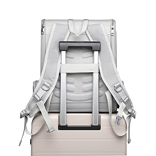 Texsens Pet Backpack Carrier for Small Cats Dogs | Ventilated Design, Safety Straps, Buckle Support, Collapsible | Designed for Travel, Hiking & Outdoor Use (Light Gray) by Texsens - Image 5