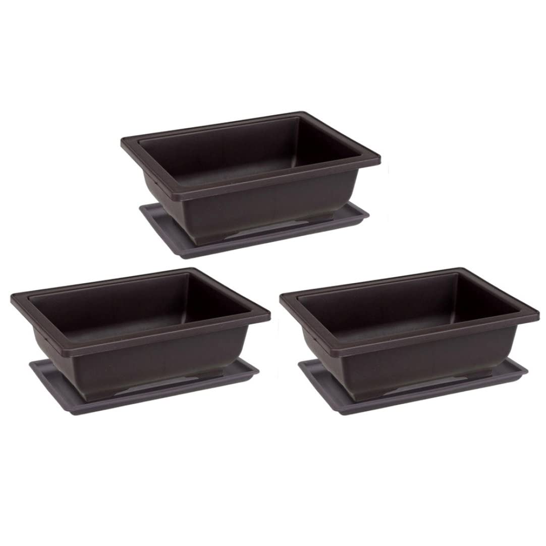Pots de bonsaï NIDONE rectangulaires en plastique lot de 6 récipients pour plantes et fleurs succulentes