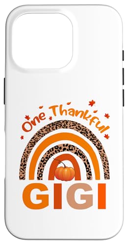 One Thankful WW {z C{[ }b`O ƑӍ X}zP[X iPhone 16 Pro p