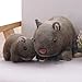NC83 1 pièces Aussie Wombat en Peluche poupée Enfants cognitif Mignon Petite Pose pour Petite Amie Cadeau d'anniversaire