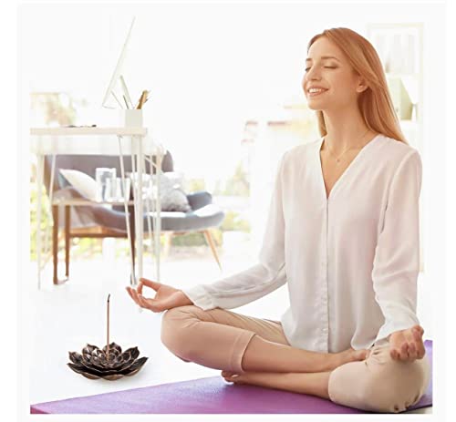 Nilevibes Brass Lotus Flower Incense Sticks Holder,Cone Incense Burner,Lotus Stick Incense Holder 6 Incense Holes With Detachable Ash Catcher.gold & Bronze (1 Pack) (Bronze) #TOP7