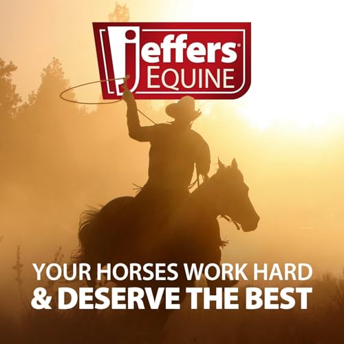 Jeffers Equine Protective Horse Boots, 1 Pair, Large - Safe Neoprene Leg Guards, Durable Strap Closures, Front & Hind Support, Equestrian Accessories for Travel & Riding - Turquoise - Image 4
