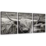 Highland Cow Wall Art, Black and White Landscape, Cow Pictures Wall Decor, Farmhouse Wall Decor for