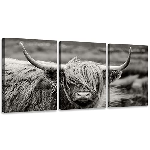 Highland Cow Wall Art, Black And White Landscape, Cow Pictures Wall Decor, Farmhouse Wall Decor For Living Room Bedroom Modern Home Decor Ready To Hang Stretched And Framed Artwork12" X16" 3 Panel #TOP1