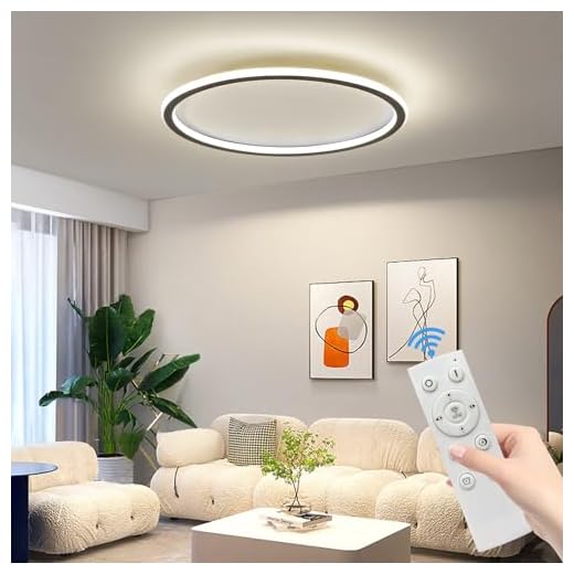 Mikeru LED Deckenleuchte 60 cm Rund ⌀ - Moderne dimmbare Deckenlampe mit Fernbedienung (3000K-6000K) - Schwarz Acryl für Wohnzimmer, Schlafzimmer, Küche, Esszimmer - Energieeffiziente LED Beleuchtung
