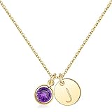 Hidepoo Initial Birthstone Necklace for Women, 14K Gold Plated Disc Initial J Necklace Amethyst Birthstone Disc Initial Pendant Necklace February Birthstone Jewelry Necklaces for Women
