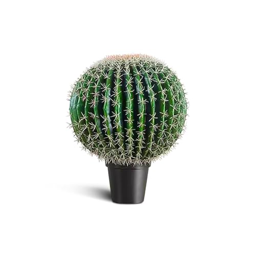 IvoQ Faux Cactus 55cm - Fausse Plante Réaliste en Pot - Grande Plante Artificielle Interieur & Extérieur - Sans Entretien, Résistante aux UV, Fait Main -...