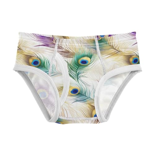 Peacock Feather Toddler Boy's Underwear 2T 202a8687