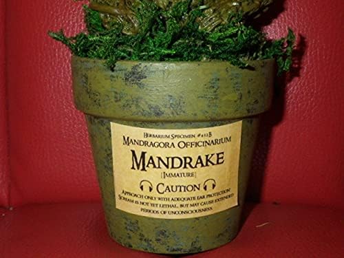 Amazon 一撃落札マンドレイク17号人形フィギュアモンスターマンドラゴラハロウィンハリーポッター置物アート植物 人面樹 Um フィギュア ドール 通販
