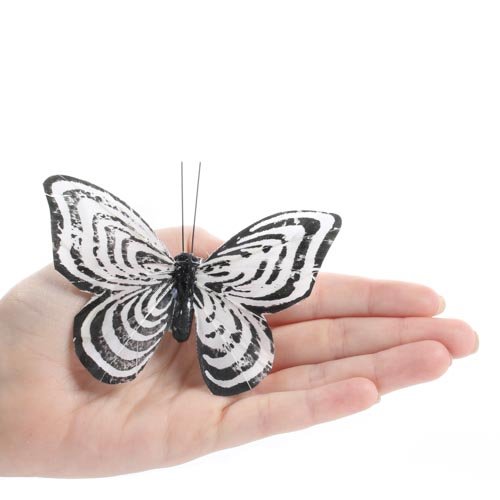 Factory Direct Craft Package of 12 Striped Colored Natural Feathered Butterflies with Attached Clip for Displaying, Crafting and Creating (Black and White)