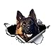 Car Stickers And Decals Flowers 15 Cm Deutscher Schäferhund Autoaufkleber Zerrissenes Metall Aufkleber Reflektierende Aufkleber Auto Stoßstange Kofferraum Heckscheibe Dekor Haustier Hund Aufkleber