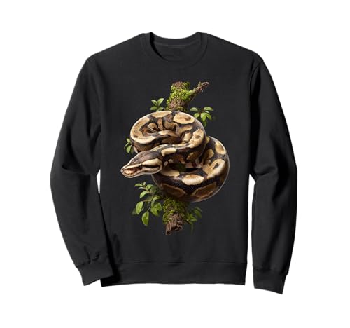 �ʔ����{�[�� �p�C�\�����D�� �w�r ঒��� �p�C�\�� Ball Python Regius Snake Lover �g���[�i�[