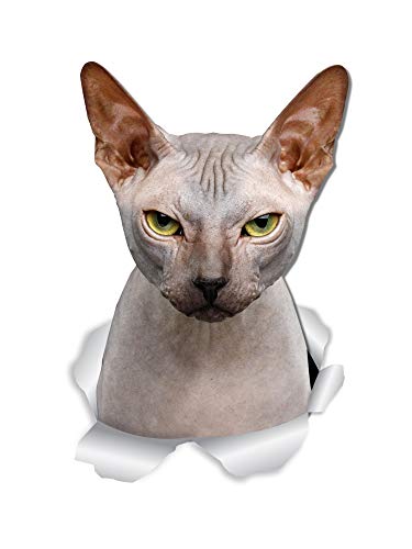 Winston & Bear Grumpy Sphynx Cat Wall Decals - 2 Pack - Sphynx Cat Toilet Sticker - 3D Cat Car Window and Bumper Sticker - Retail Packaged Sphynx Cat Gifts