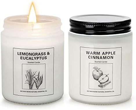 Cinnamon Apple and Lemongrass Eucalyptus Candles for Home Scented, Christmas Aromatherapy Candle Set for Women, 2 Pack Soy Wax Jar Candles Gifts for Birthday Mother with Strongly Fragrance