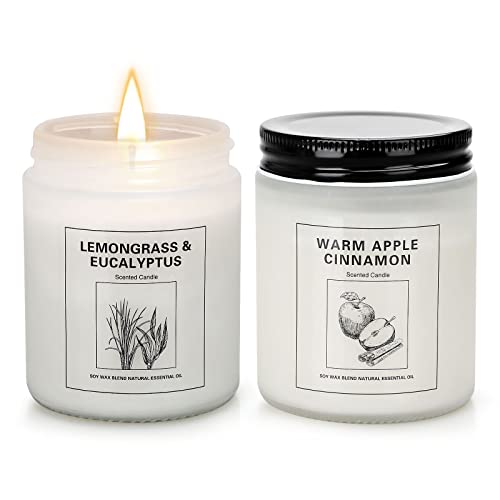 Cinnamon Apple And Lemongrass Eucalyptus Candles For Home Scented, Christmas Aromatherapy Candle Set For Women, 2 Pack Soy Wax Jar Candles Gifts For Birthday Mother With Strongly Fragrance #TOP16